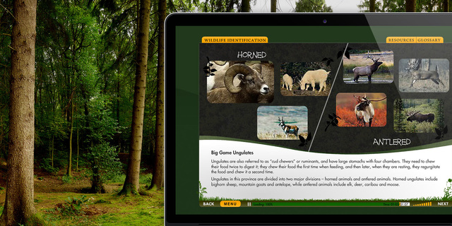 Online Hunter Education Certification &amp; Manual | AHEIA